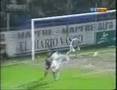 Buffon VS Cassilas
