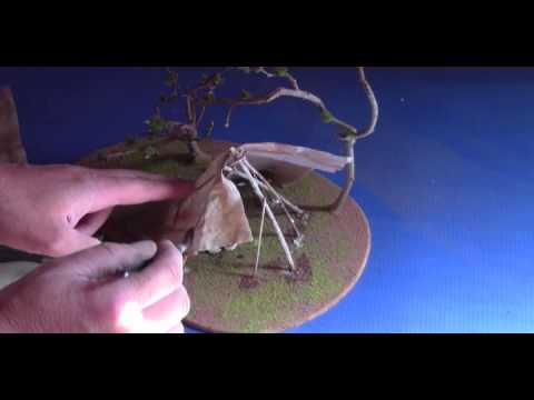 tipi Model