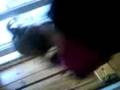 mii beenin funny