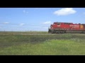 CP Rail Stack Train in the Canadian Prairies