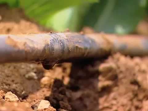 how to harvest water in the desert