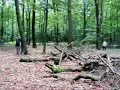 airsoft-ambush.html