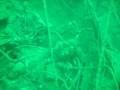 videos de SAAB B17 Wreck
