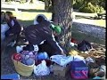Caida de cabeza