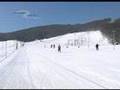 Snowland