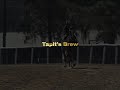 Tapit's Brew