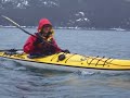 Kayaking with Sea Lions, Skagway, Alaska