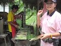 bike-tour-bangkok-thailand-apple-demonstrates-how-to-eat.html