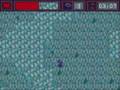 GMD 2005: Q-Bit