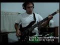Guano Apes - Mine all Mine Bass Cover - Cobyte