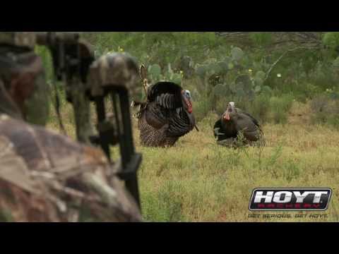 Turkey Hunting: Secret Decoy Tricks That Drive Gobblers Insane