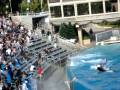 videos de Sea World6 of 6 by Pramod.MPG