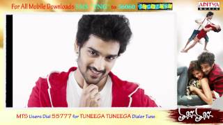 Tuneega Tuneega Movie Full Songs - Dhoodi Pinja Lanti Pilla Song