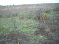 videos de Lichtenrade 4