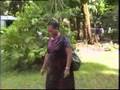 Pohnpei - PT6