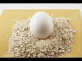 Grup Vitamin - Aşığın ŞİİRİ