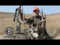 Whitetail Deer With Campfire Stories And The CVA Accura