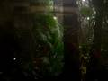 Elevator at Cleveland Zoo rain forrest exhibit.