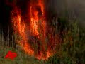 Raw Video: Chopper Fights Brush Fla Fire Raw Video: Chopper Fights Brush Fla Fire