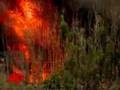 Raw Video: Chopper Fights Brush Fla Fire