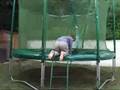 videos de Clément, aveugle, inaugure le trampoline