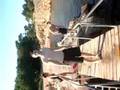 Snusen Backflip