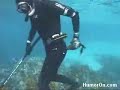 Baby Shark Attack!