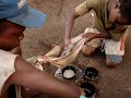 Preparing Kava