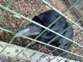 havran zoo Kavecany