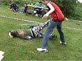 Ladder to the head Ladder to the head