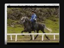 Afkvæmi Galsa (Iceland)