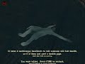 Wankers Suicide Alternatives