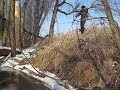J.S. Creek Jump