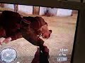 Call of Duty 2 Death Glitch
