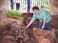 Bravoland: Ons vir jou Suid-Afrika www.bravoland.co.za