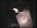 Palestinian Terror: Uncovering an Explosives Laboratory Palestinian Terror: Uncovering an Explosives Laboratory