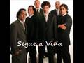 Segue a Vida - Planta e Raiz