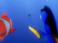 DoRy ParLandO iL BaLeNeSe_NemO