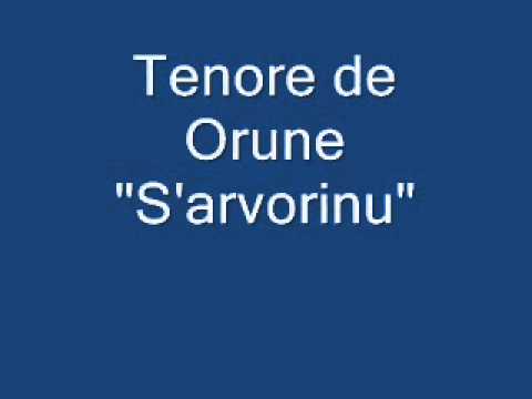 Tenore S'Arvorinu