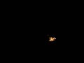 DSCN2610