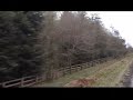 NYMR Levisham to Pickering in 3m16s