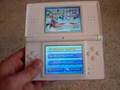 Pwn Squad - DS Lite Review