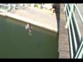 videos de Ponting Stade de France