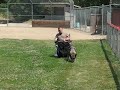 Dante starting tracking