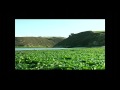 Voir la Vidéo