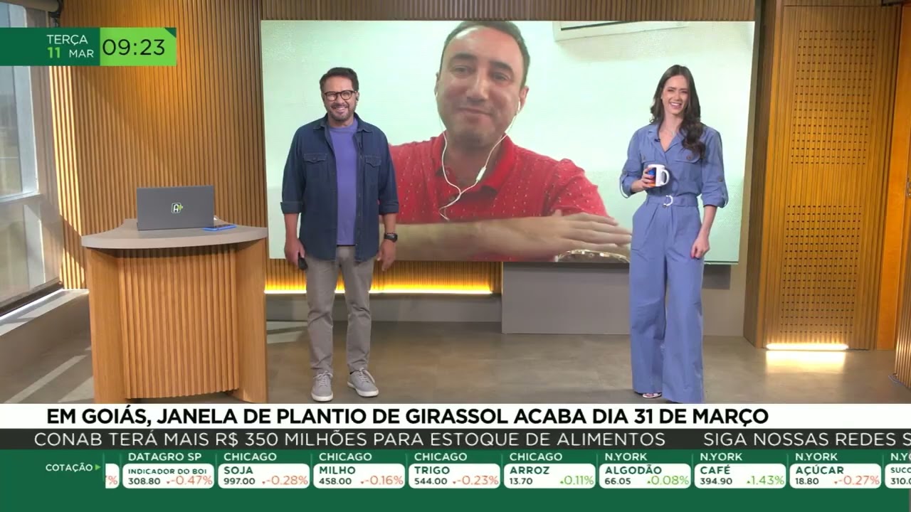 Em Goiás, janela de plantio de girassol acaba dia 31 de março