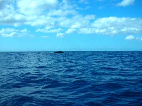 how to cure humpback