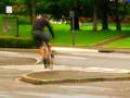 More-street-riding-i