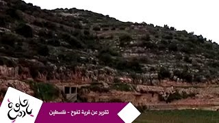 حلوة يا دنيا - تقرير عن قرية تفوح - فلسطين حلوة يا دنيا - تقرير عن قرية تفوح - فلسطين