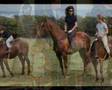 A-Tribute-To-Jacquel
